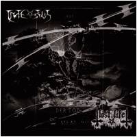 Infestus (GER) : Lost Life - Infestus